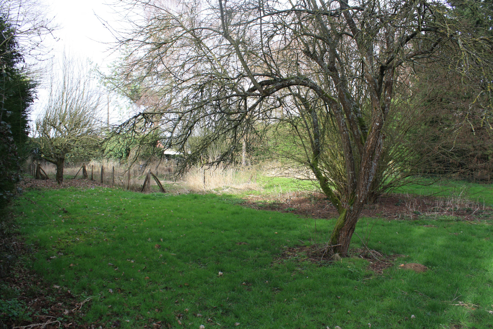 Offres de vente Terrain Jouy-le-Châtel 77970
