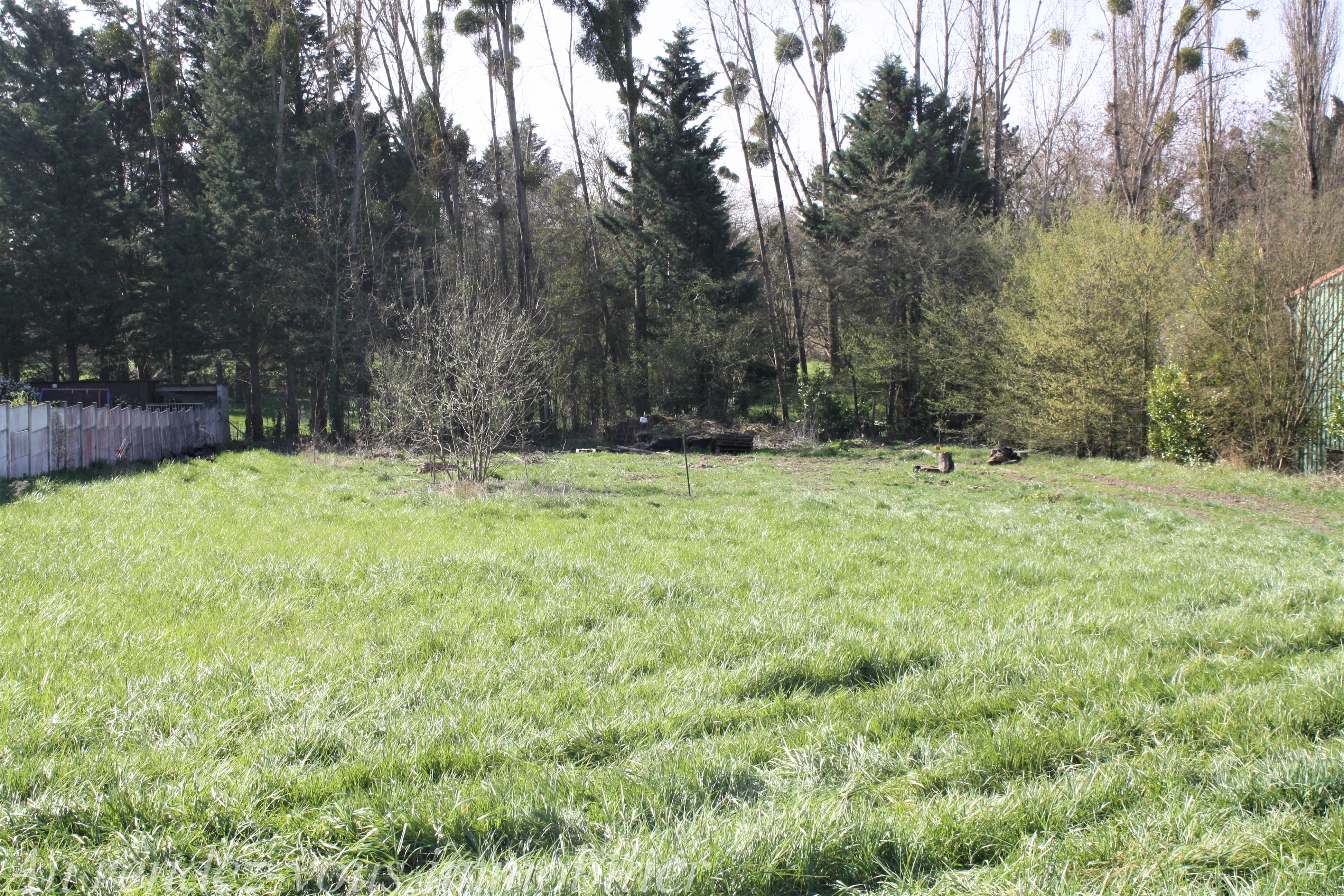 Offres de vente Terrain Rozay-en-Brie 77540